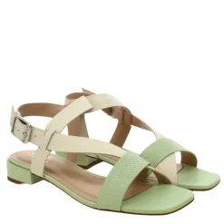 FLUX FANY FLATS