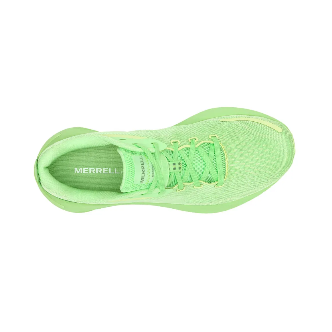 MERRELL Men' s Morphlite