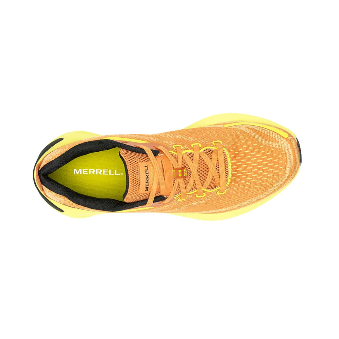 MERRELL Men' s Morphlite