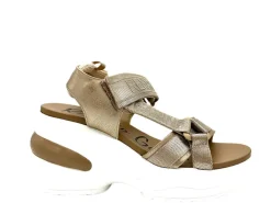 RENATO GARINI ALI FLATFORMS